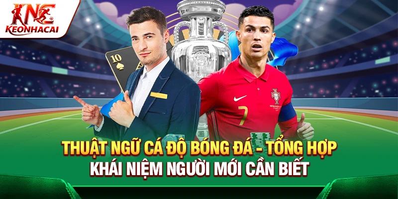 https://micromines.co/thuat-ngu-ca-do-bong-da/